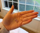 Kendra Scott Pink / Gold Elisa Necklace Photo 0