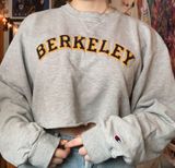 Champion sweatshirt Photo 0