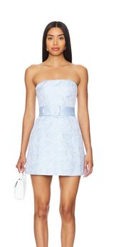 Amanda Uprichard Fae Dress in Powder Blue Photo 0