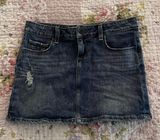 Jean Skirt Photo 0