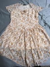 Cider Dress Photo 0