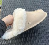 Scuffette UGG Slippers Photo 0