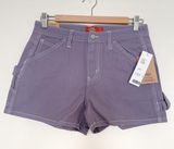 Urban Outfitters BNWT Dickies High-Waisted Carpenter Shorts Photo 0