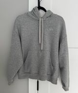 Alo Yoga gray sweatshirt  Photo 0
