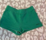 Arctix Aritzia Shorts  Photo 0