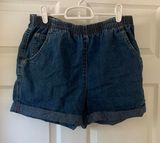 BDG Urban Outfitters Shorts Photo 0