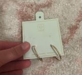 E Newton Earrings Photo 0