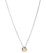 Petite Chatelaine Necklace In Sterling Silver With 18k Yellow Gold Dome Photo 0