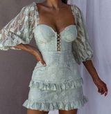 Selfie Leslie | Hemingway Balloon Sleeve Dress Photo 0