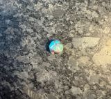 Blue Heart Charm Photo 0