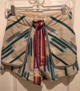 Urban Outfitters NEVER WORN shorts Photo 0