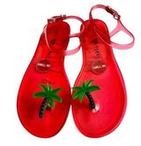 Katy Perry  Jelly Sandals Womens Size 9 Red Palm Tree Ankle Strap Brand New Photo 0