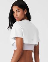 ALO Yoga Made You Look cropped tee baby top crewneck logo short sleeve white Photo 0