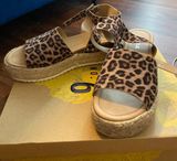 Amazon Cheetah Wedges Photo 0