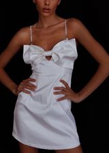 Selfie Leslie Dress Photo 0