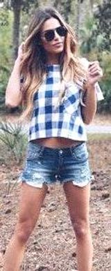 VICI Blue And White Checkered Top Photo 0