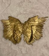 Gold Angel Wings Photo 0