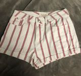 PacSun Shorts Photo 0