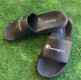 Champion Slides Photo 0