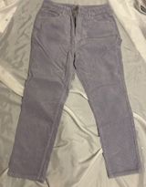 PacSun Corduroy Pants Purple Photo 0