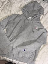 Champion Gray Hoodie Photo 0