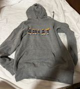 Ariat Hoodie Photo 0