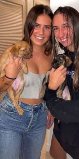 PacSun High Rise Straight Jeans Photo 0