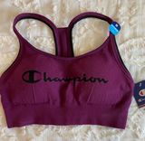 Champion Sports Bra Photo 0