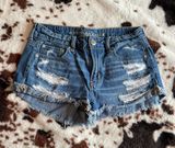 American Eagle Denim Shorts Photo 0