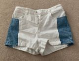 PacSun Blue And White  Shorts Photo 0