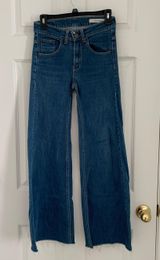 The Vintage Shop 18th amendment colbert jeans Wide Leg  Photo 0