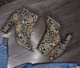 Candie's Multi Color Booties Size 8 1/2 Photo 0