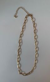 Forever 21 chain necklace  Photo 0