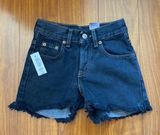 Aritzia  Vintage 650 Denim Cutoff Shorts Photo 0