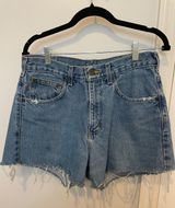 Carhartt Vintage Jean Shorts Photo 0