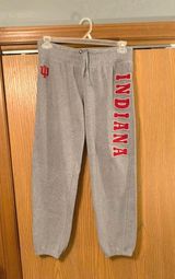 IU Sweatpants Size L Photo 0