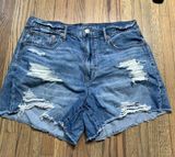 American eagle 90s boyfriend short 12 Photo 0
