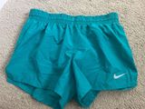 Dri-Fit Blue Shorts Photo 0