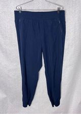 Danskin 5/$25  blue jogger pants large Photo 0