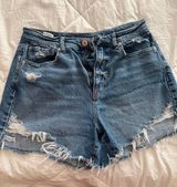 American Eagle Outfitters Shorts Photo 0