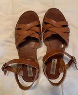 Steve Madden Sandals Photo 0