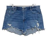 Abercrombie & Fitch The Mom High Rise Denim Shorts Curve Love Womens 34 / 18 Photo 0