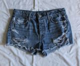 American Eagle Outfitters Shorts Photo 0