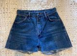 Wrangler Distressed Vintage Shorts Photo 0