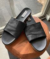 Steve Madden Karolyn Sandal Photo 0