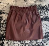 ZARA Skirt Photo 0