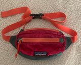 Patagonia Fanny Pack Photo 0