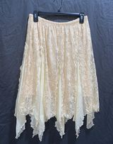 Moa Vintage Lacey Skirt Photo 0