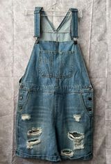 Life in Progress Overalls Photo 0