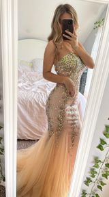 Tiffany Designs Champagne Sequins Dress Photo 0